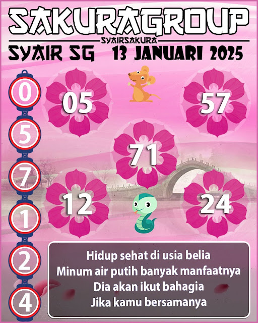 SYAIR SGP VIP